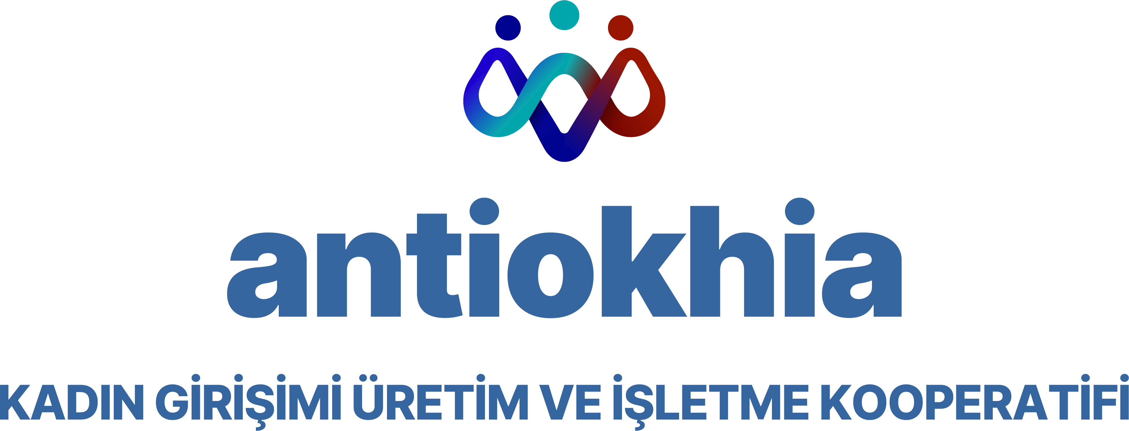 Arac Görseli